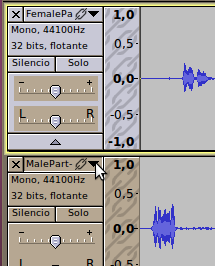 Audacity-LabelSelection-es.png