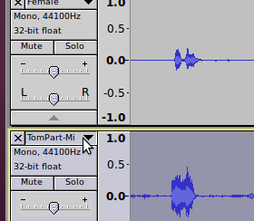 Audacity-LabelSelection.png