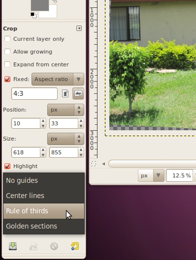 CropThirdsGuide.jpg